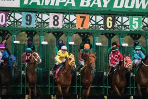 Horse Racing Stats