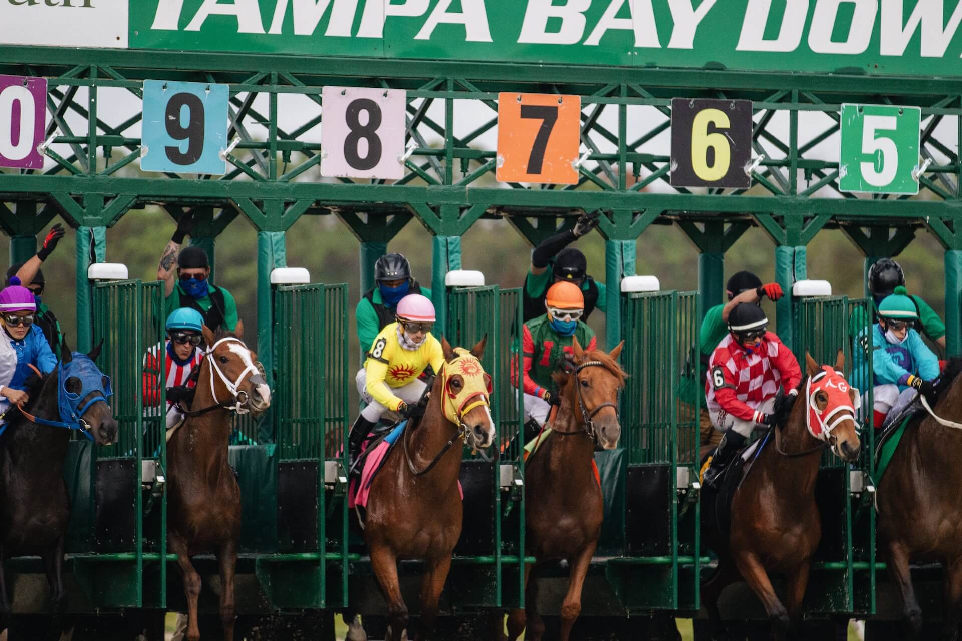 Horse Racing Stats - Insights, Trends, and Key Facts 1 Horse Racing Stats