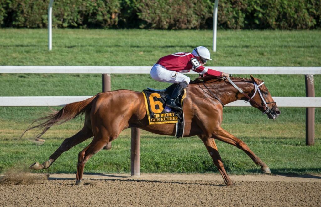 Horse Racing Stats - Insights, Trends, and Key Facts 4 Race Track Statistics
