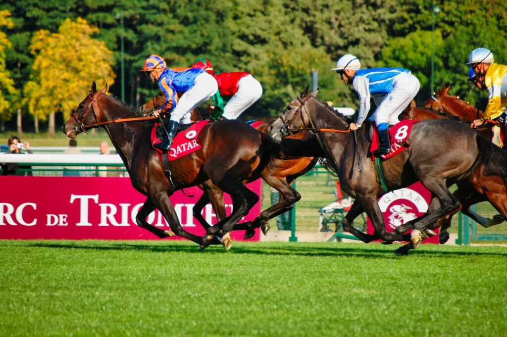 Horse Racing Stats - Insights, Trends, and Key Facts 8 Technological Advancements