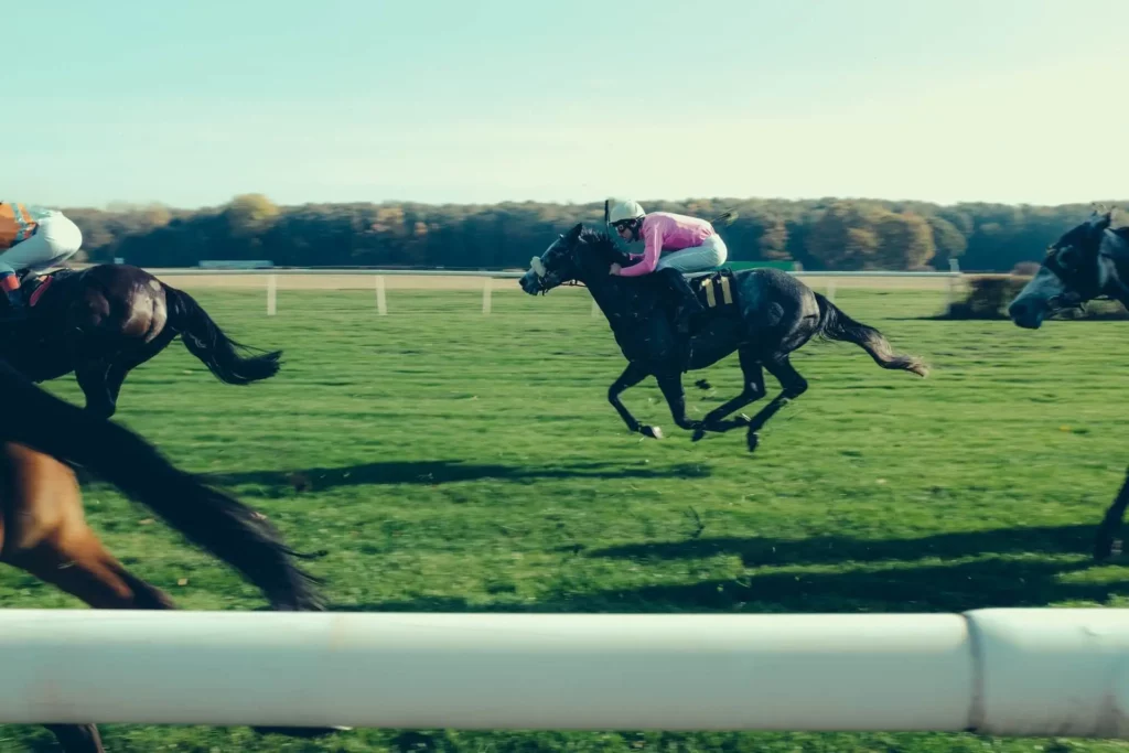 Horse Racing Stats - Insights, Trends, and Key Facts 7 Trends in Horse Racing