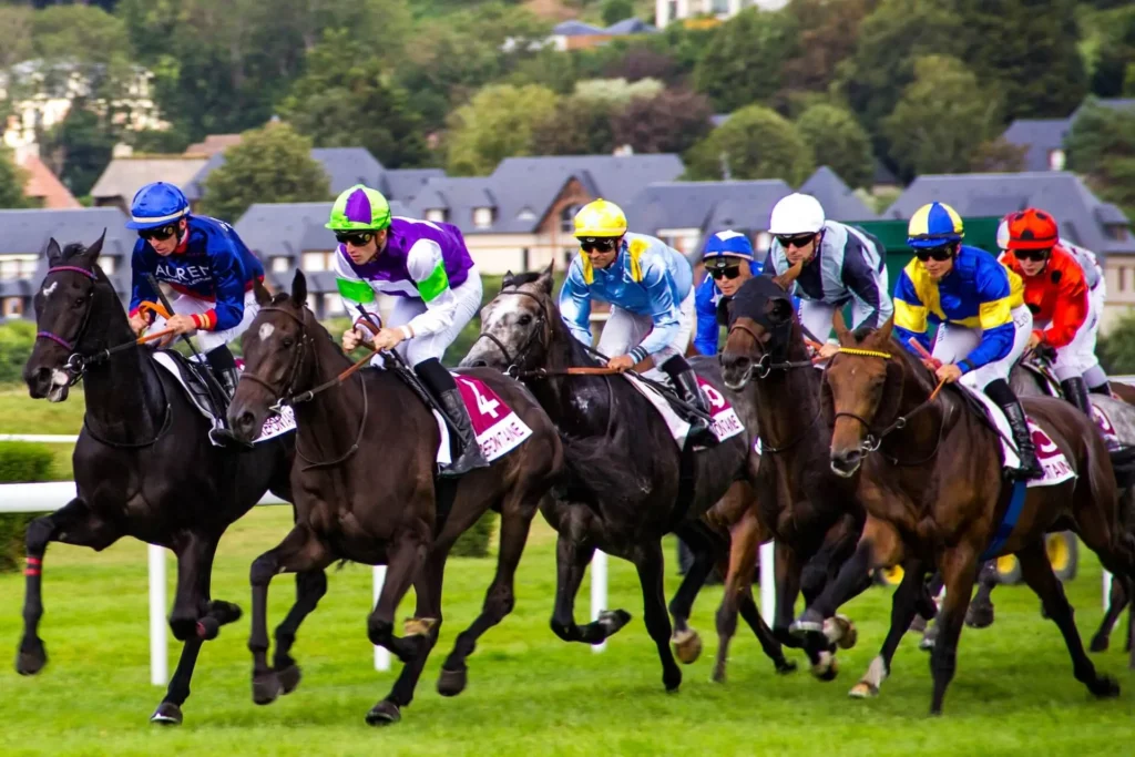 Horse Racing Stats - Insights, Trends, and Key Facts 3 Winning Horse Statistics
