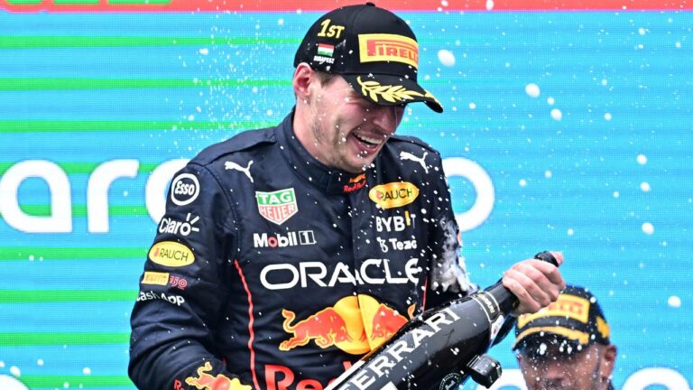 f1 2022 hungarian grand prix results analysis max verstappen Daniel Ricciardo Faces Crushing Setback After Costly Team Strategy Fail